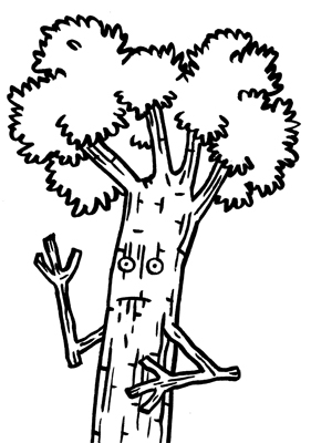 sfaatree1c